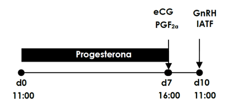 Interfaz de usuario gráfica, Texto  Descripción generada automáticamente